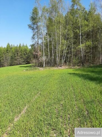 Działka rolno-budowlana Łagówka. Zdjęcie 1