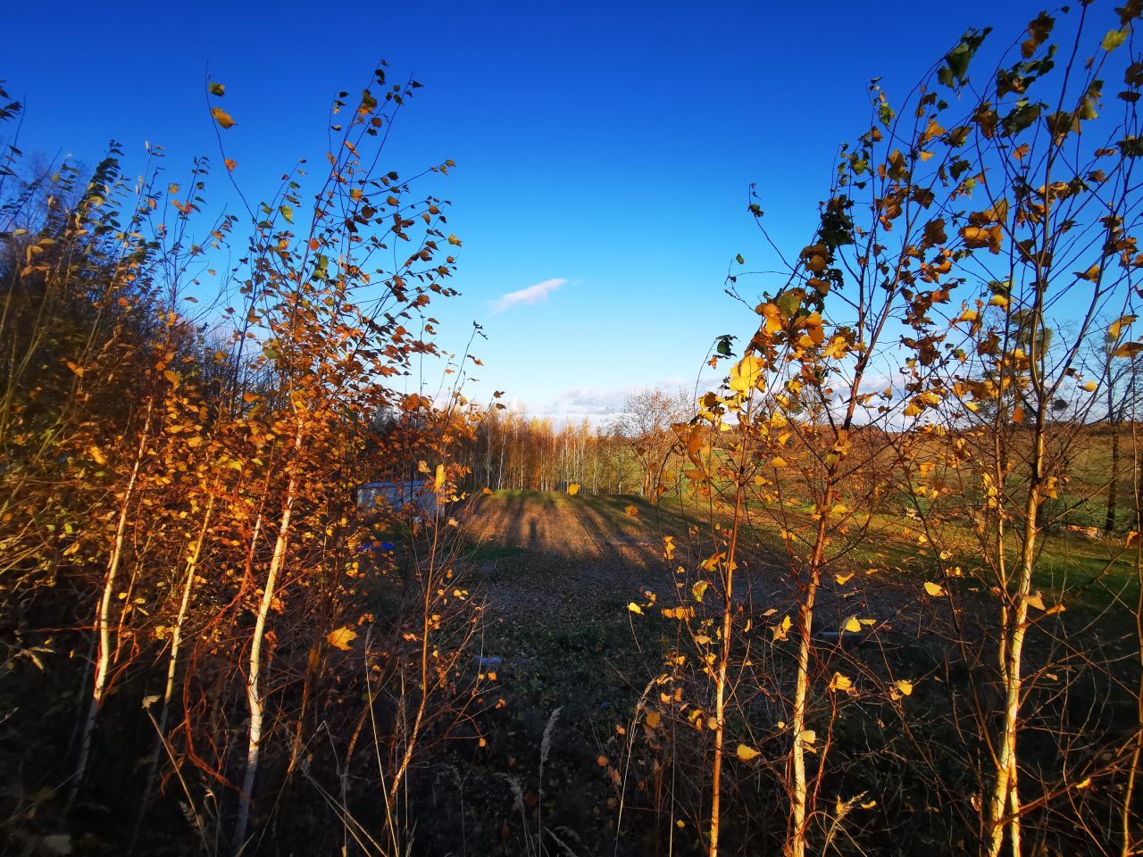 Działka budowlana Bisztynek. Zdjęcie 12