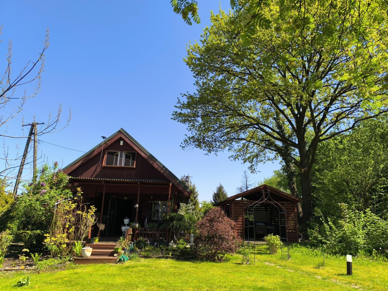 Działka rod Tenczynek, ul. Owocowa. Zdjęcie 3