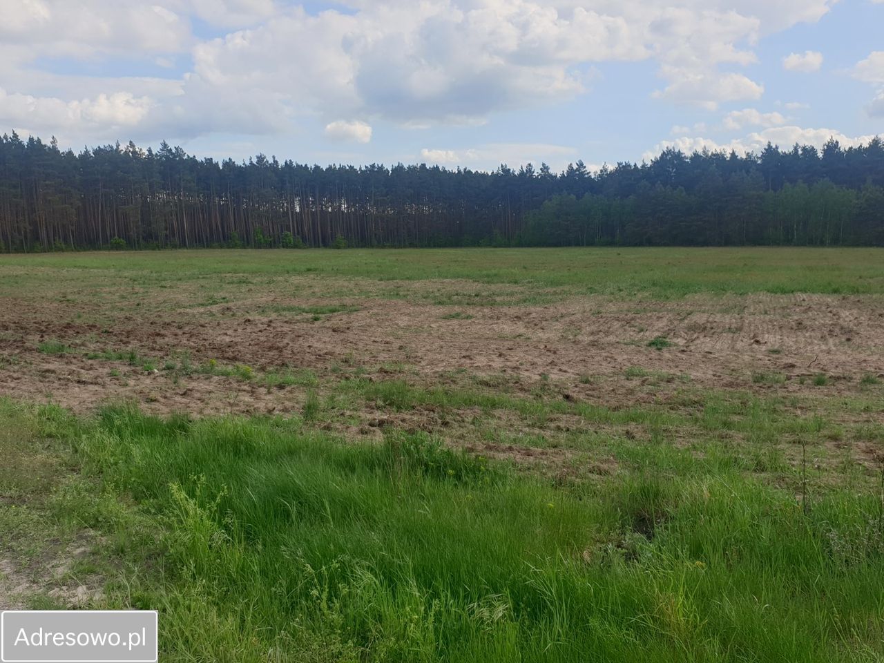 Działka budowlana Zielątkowo. Zdjęcie 6