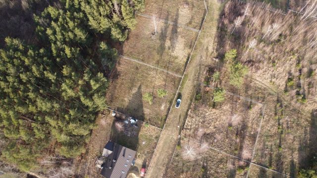 Działka budowlana Zalesie Borowe. Zdjęcie 9