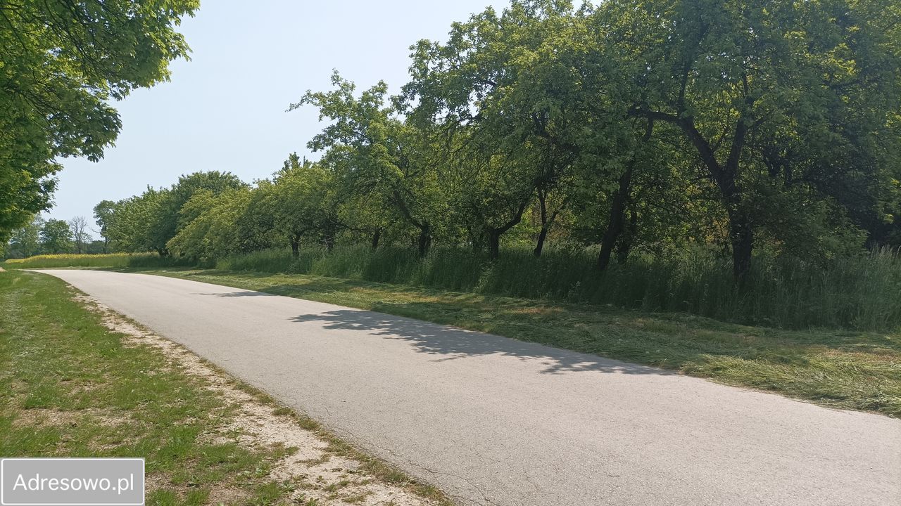 Działka budowlana Góry. Zdjęcie 4