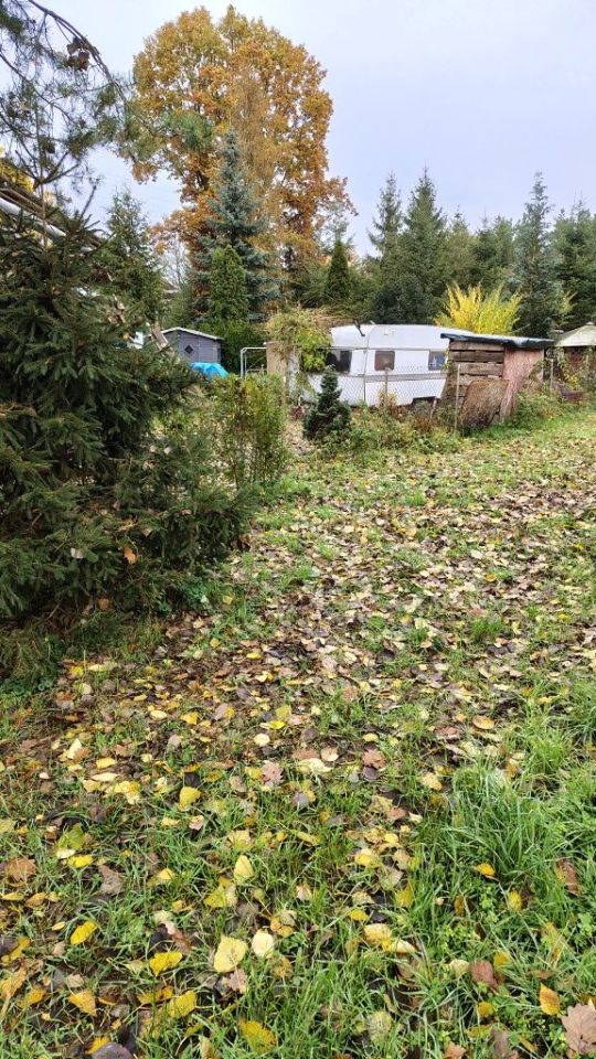 Działka rekreacyjna Nowe Czarnowo. Zdjęcie 4