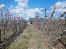 Działka budowlana Stok Lacki, ul. Szafirowa. Zdjęcie 1