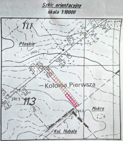 Działka budowlana Płoskie. Zdjęcie 1