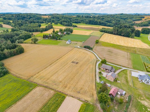 Działka budowlana Grodzisko. Zdjęcie 16