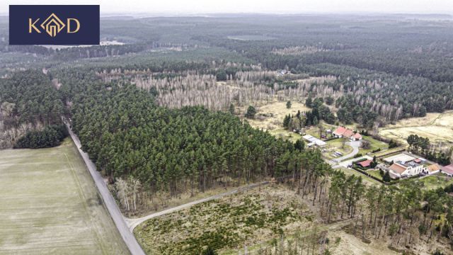 Działka inwestycyjna Dąbrowa Nowa. Zdjęcie 4