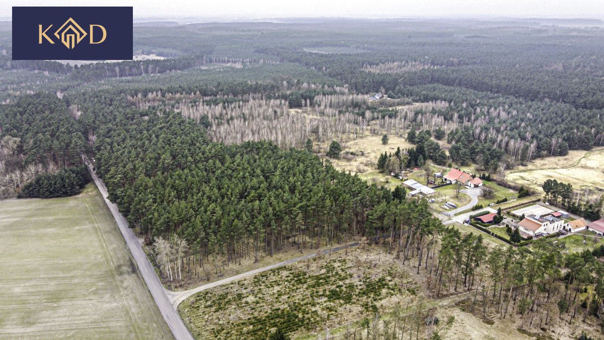 Działka inwestycyjna Dąbrowa Nowa. Zdjęcie 4
