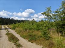 Działka budowlana Dalny Las. Zdjęcie 1