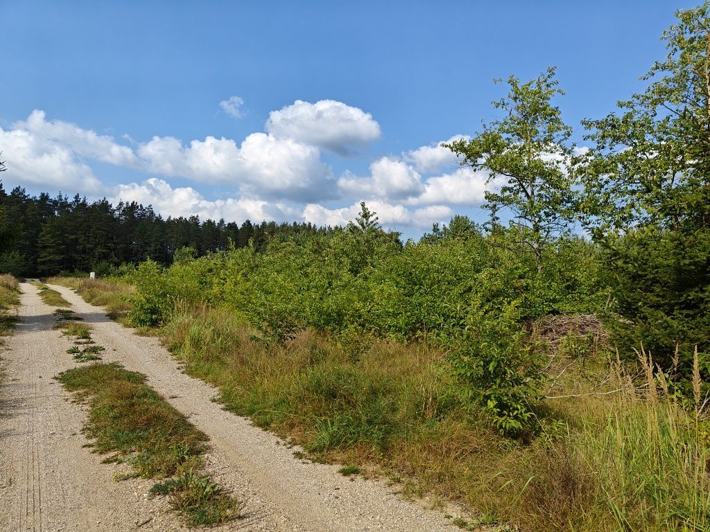 Działka budowlana Dalny Las. Zdjęcie 2