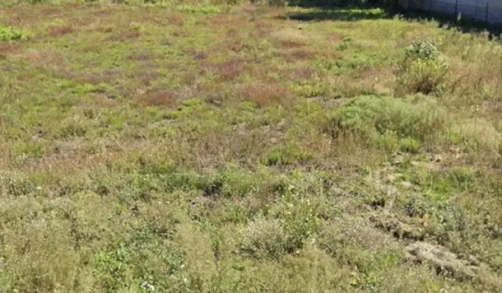 Działka budowlana Pogorzałe Ługi