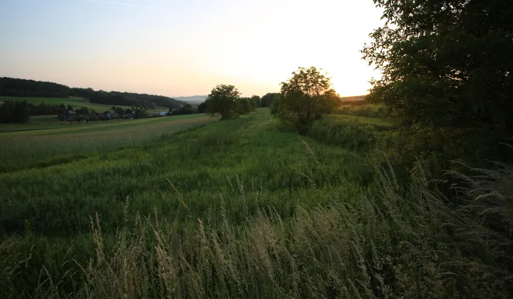 Działka rolno-budowlana Krakuszowice