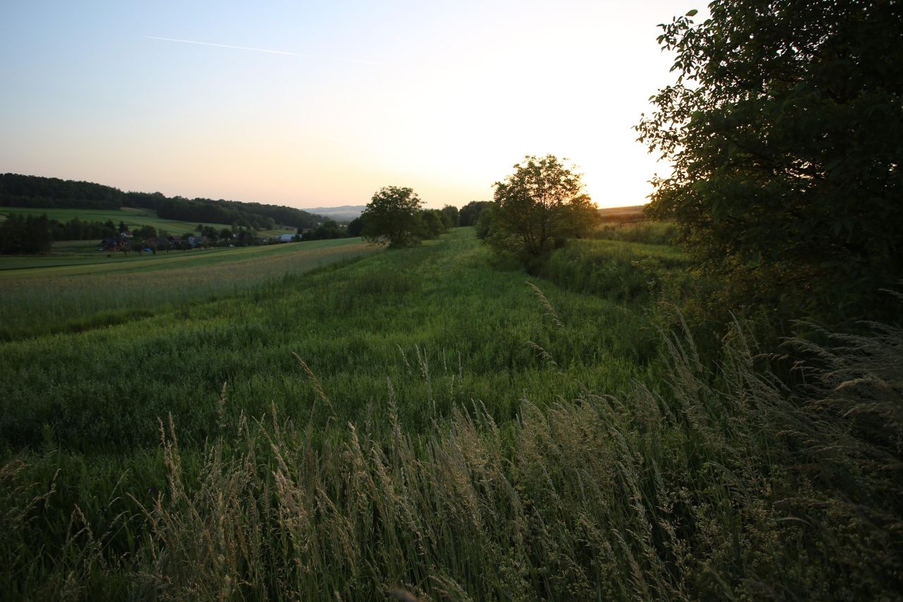 Działka rolno-budowlana Krakuszowice. Zdjęcie 1