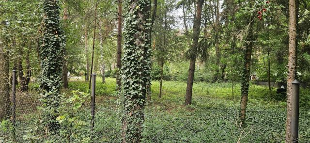 Działka budowlana Milanówek Kazimierówka, ul. Owczarska. Zdjęcie 4