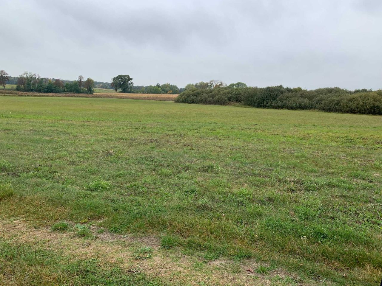 Działka rolna Smerzyn. Zdjęcie 6