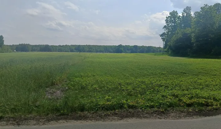 Działka rolno-budowlana Nowodwór