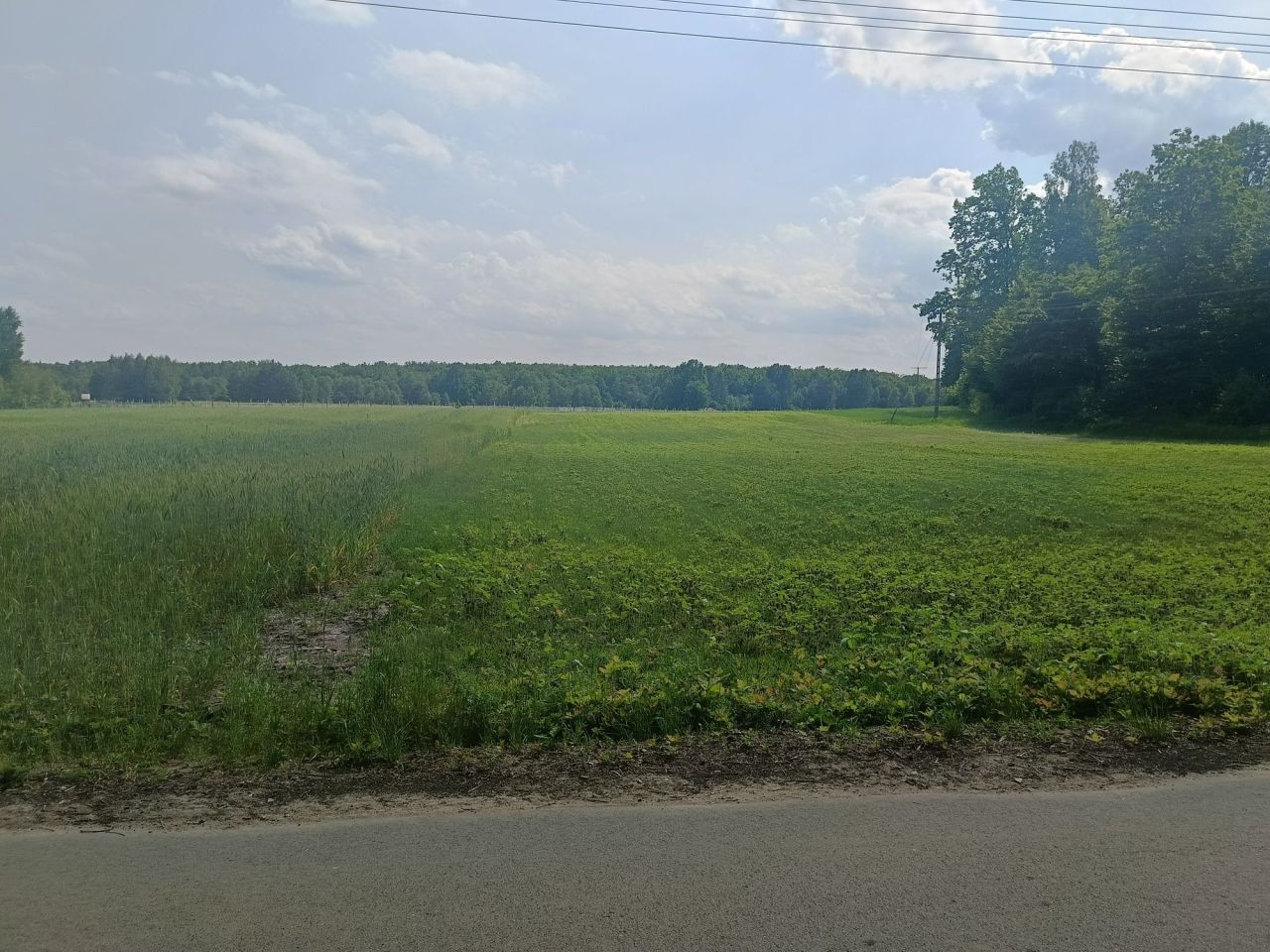 Działka rolno-budowlana Nowodwór