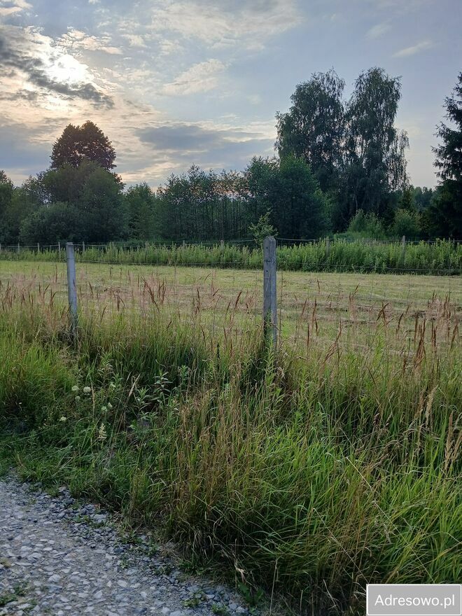 Działka budowlana Chojnów. Zdjęcie 7