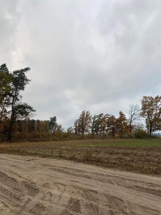 Działka rolno-budowlana Niechłód, ul. Ostoja. Zdjęcie 4