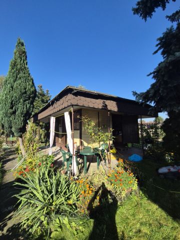 Działka rod Ostrów Wielkopolski, ul. Kaliska. Zdjęcie 1