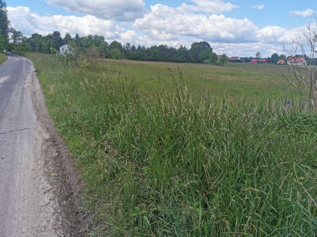 Działka budowlana Gierałtów. Zdjęcie 1