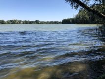 Działka rolna Pakawie. Zdjęcie 2