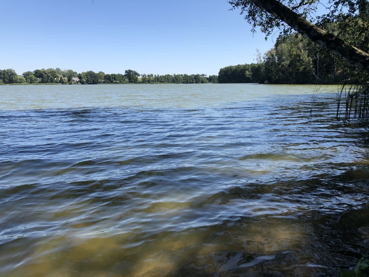 Działka rolna Pakawie. Zdjęcie 3