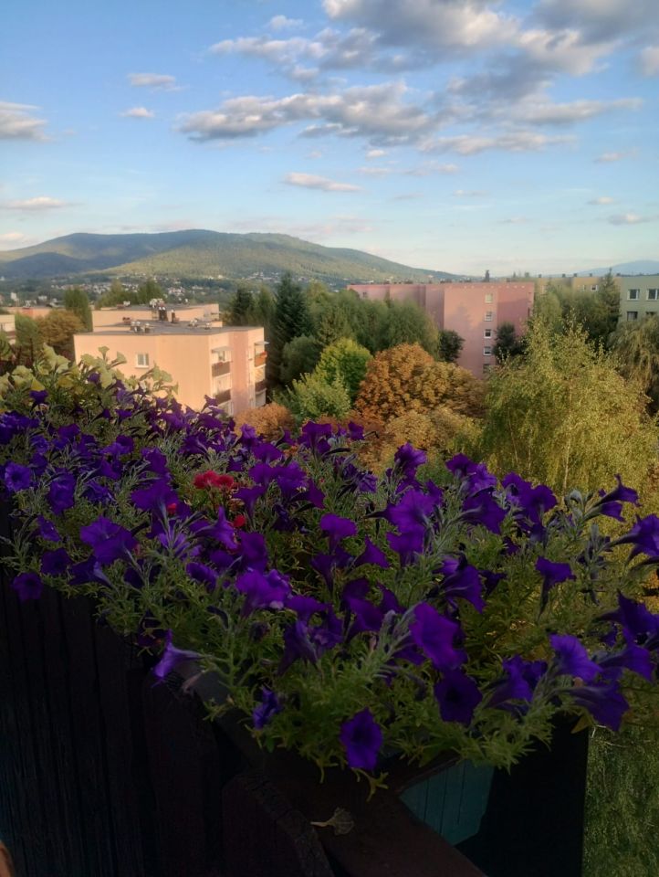 Mieszkanie 3-pokojowe Bielsko-Biała Osiedle Karpackie, ul. Roztoki