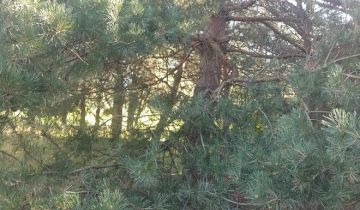 Działka budowlana Kożuszki-Parcel