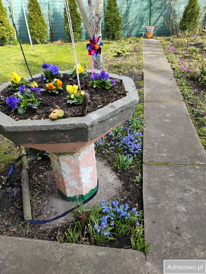 Działka rod Pabianice. Zdjęcie 3