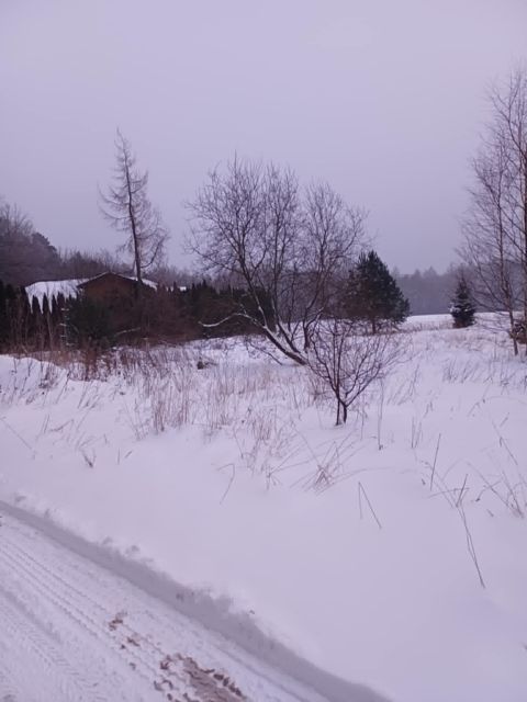 Działka budowlana Kartuzy, ul. Świerkowa. Zdjęcie 2