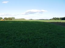 Działka budowlana Kurkocin. Zdjęcie 2