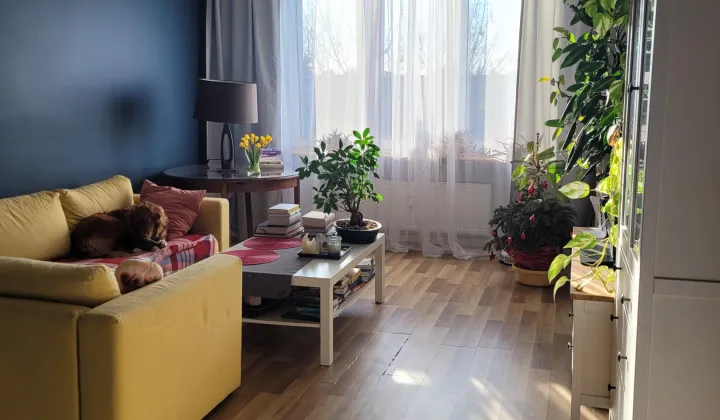 Mieszkanie 3-pokojowe Katowice Ligota, ul. Słupska