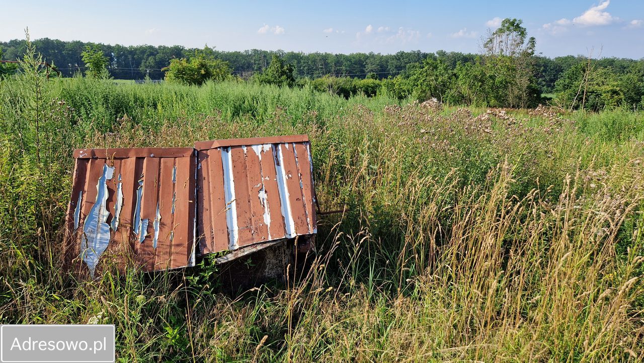 Działka rolno-budowlana Wałkowa. Zdjęcie 13