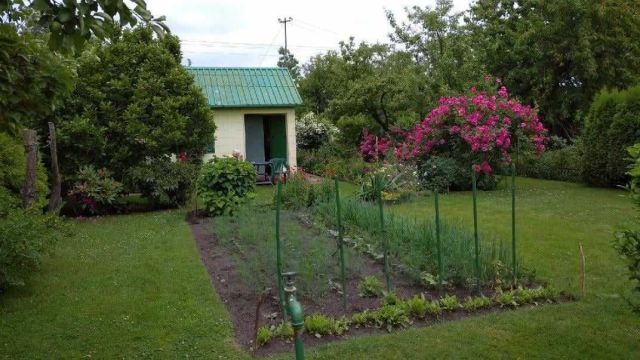 Działka rekreacyjna Siedlce, ul. Piaskowa. Zdjęcie 1