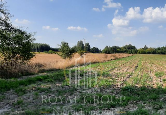 Działka rolna Rudno. Zdjęcie 4