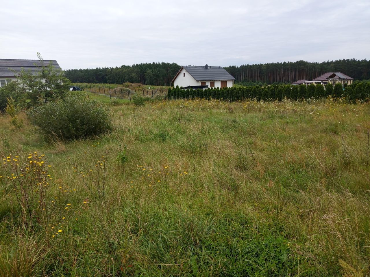 Działka budowlana Kołaczkowo. Zdjęcie 5