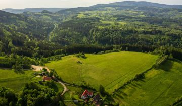 Działka budowlana Leśna