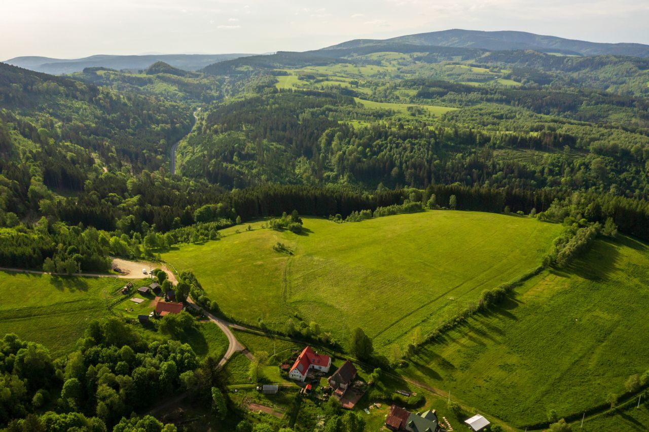 Działka budowlana Leśna. Zdjęcie 2