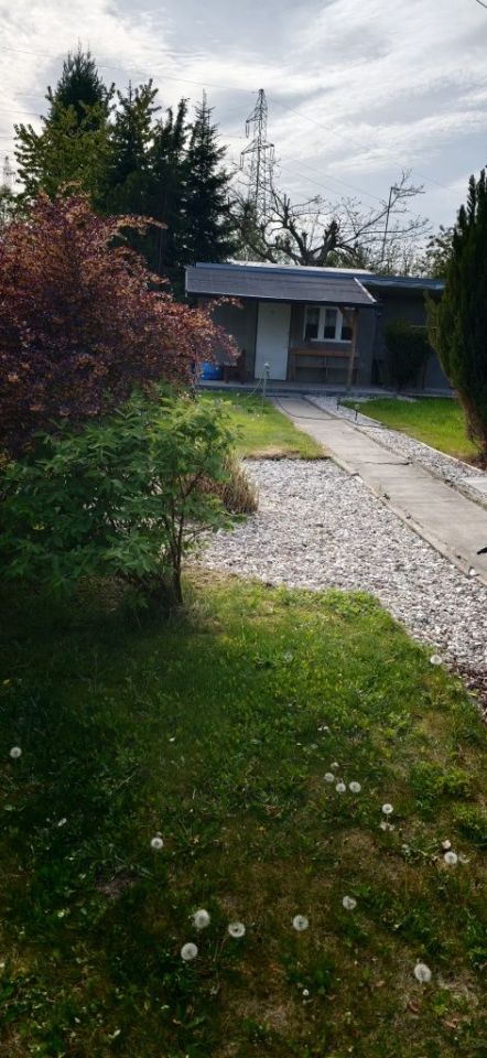 Działka rod Turek. Zdjęcie 1