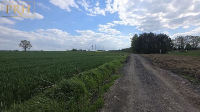 Działka budowlana Będzino. Zdjęcie 3