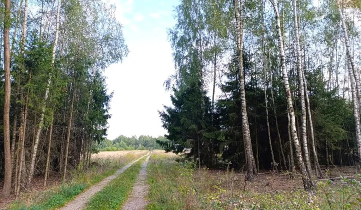 Działka budowlana Badów Górny, ul. Główna