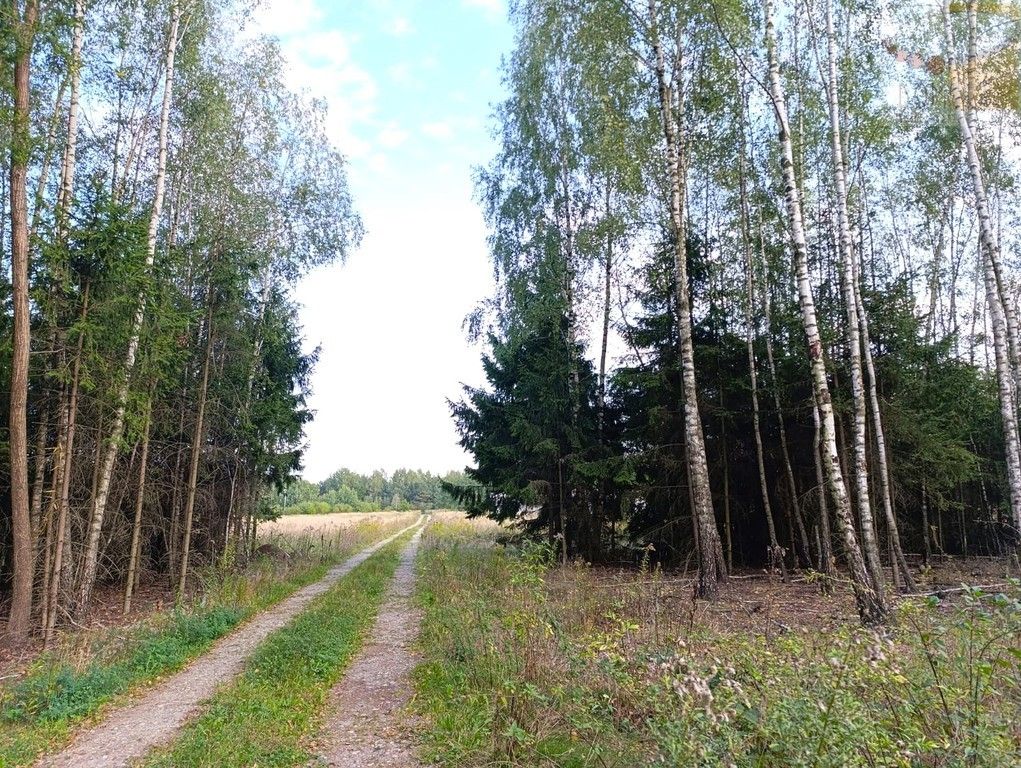 Działka budowlana Badów Górny, ul. Główna. Zdjęcie 8