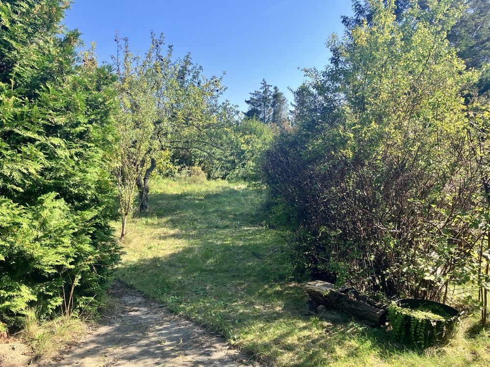 Działka rod Gdańsk Strzyża. Zdjęcie 8