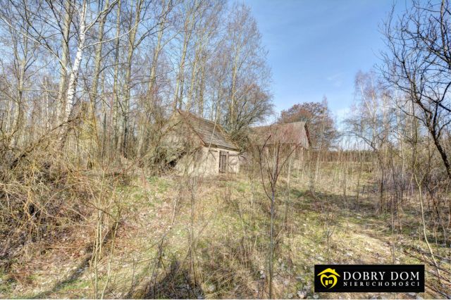 dom wolnostojący, 2 pokoje Wiejki. Zdjęcie 13