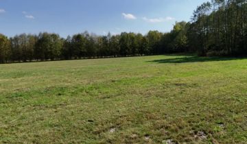 Działka rolna Celinów, ul. Różana