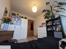 Mieszkanie 8-pokojowe Wrocław Śródmieście, ul. Swobodna. Zdjęcie 3