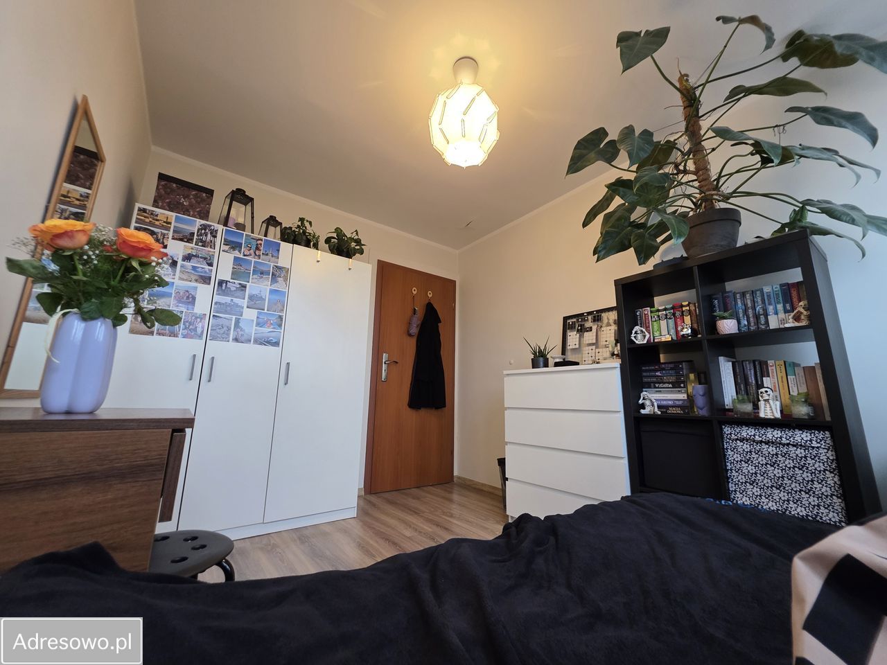 Mieszkanie 8-pokojowe Wrocław Śródmieście, ul. Swobodna. Zdjęcie 4