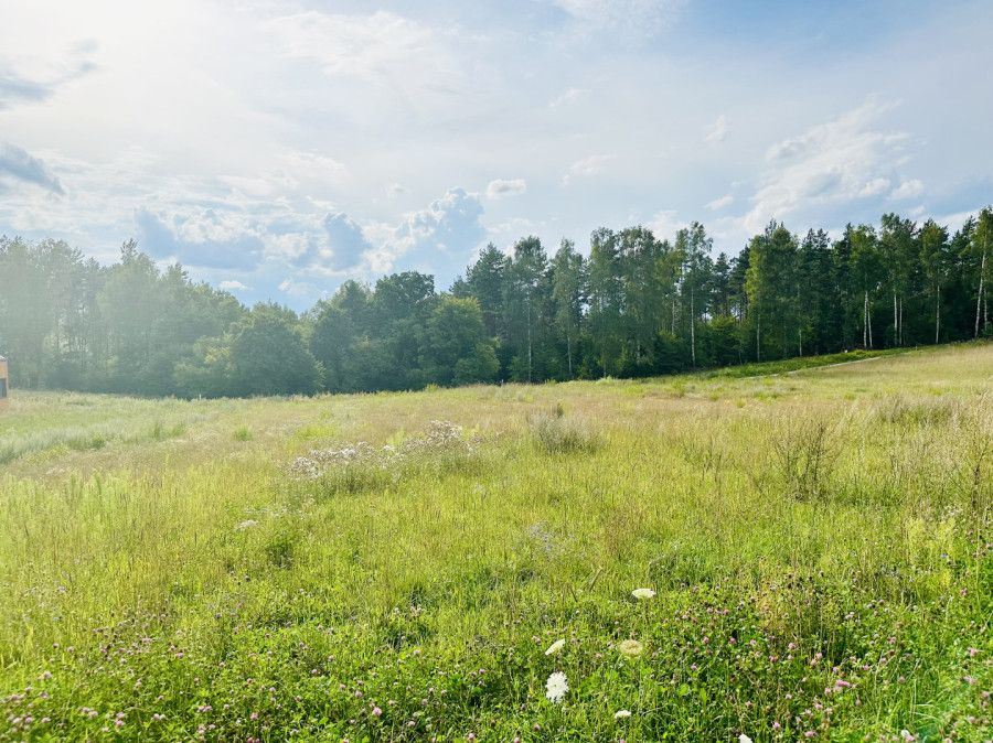 Działka budowlana Szczodrowo. Zdjęcie 3