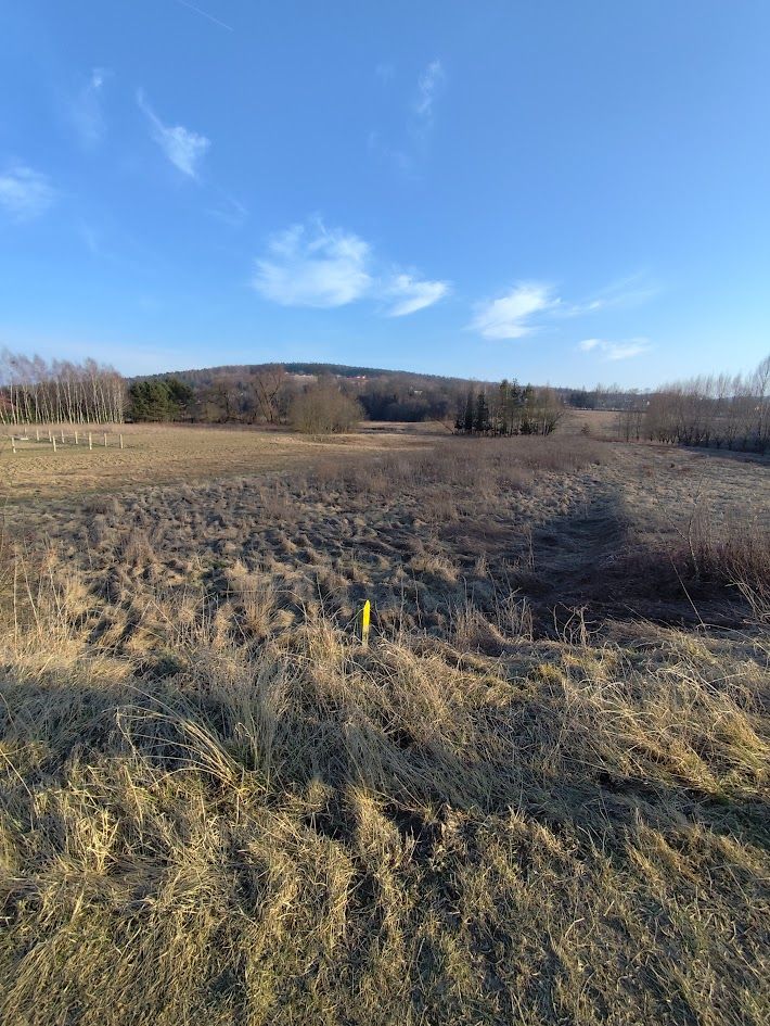 Działka rolna Babica. Zdjęcie 2